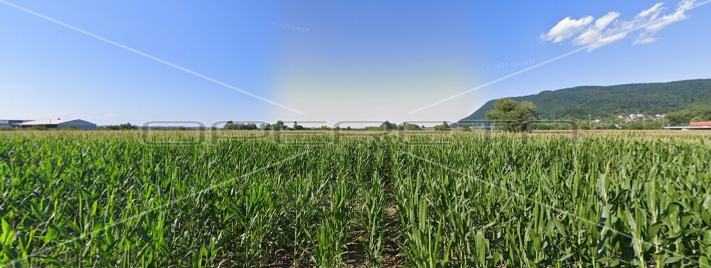 Image 6138655 - 3