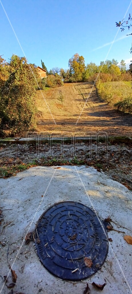 Image 6138657 - 8