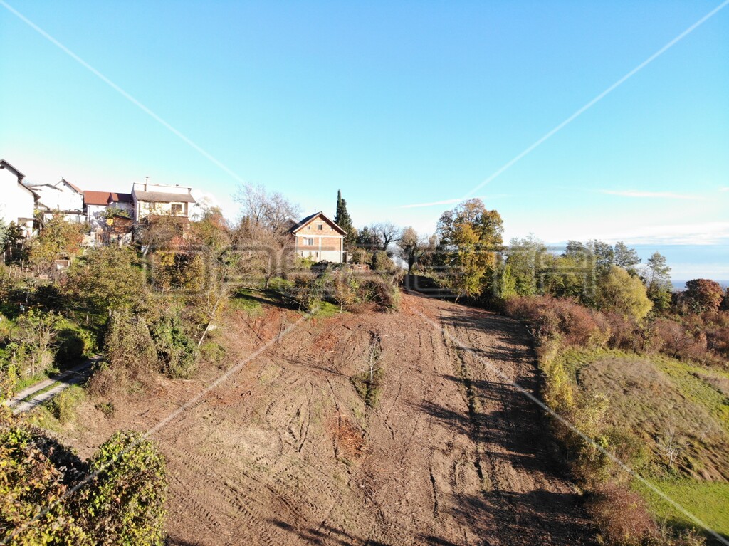Image 6138657 - 4