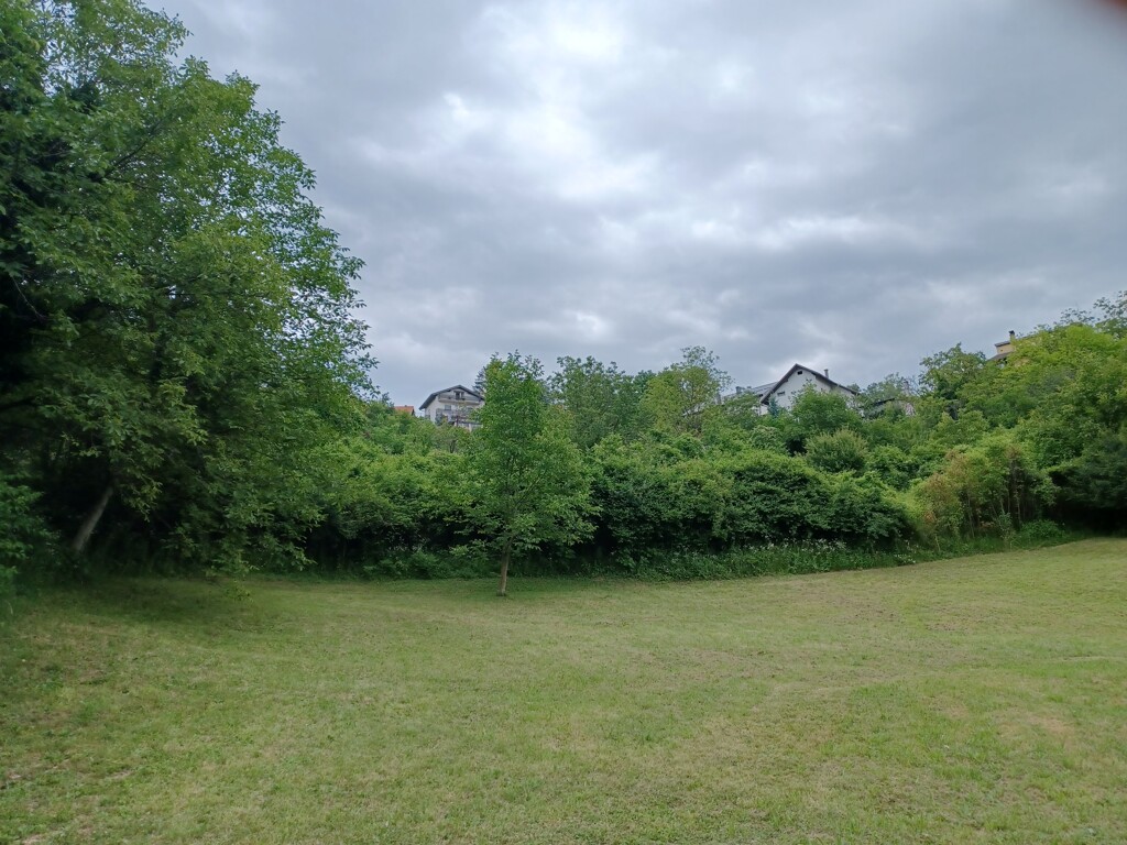 Image 6138657 - 5