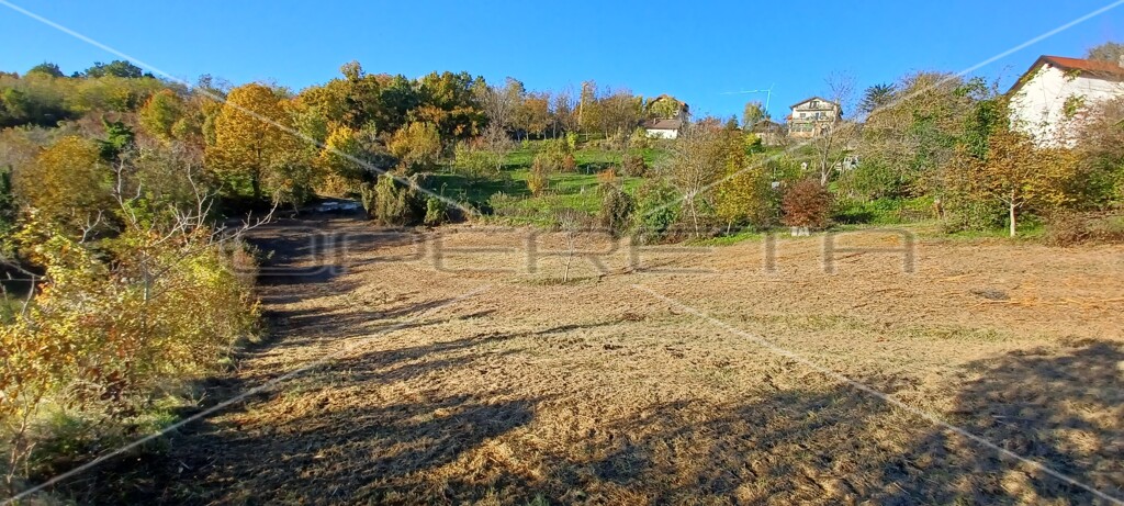 Image 6138657 - 11