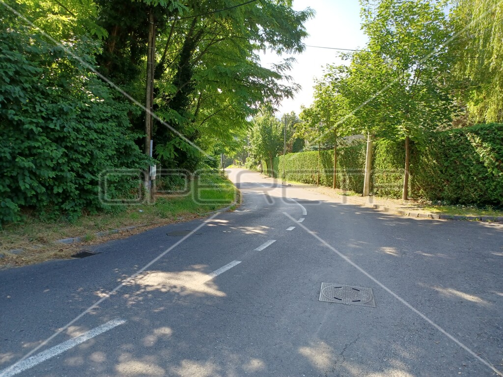 Image 6138658 - 3
