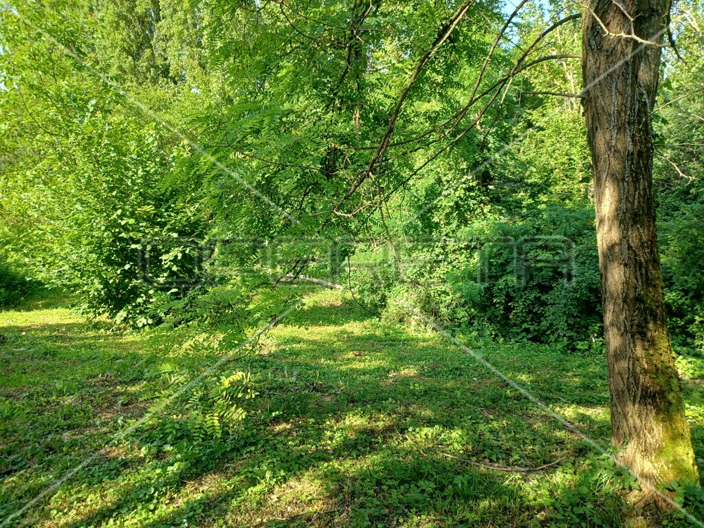 Image 6138658 - 4