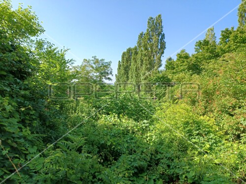 Perjavica, Gornji Stenjevec, 2.910,00 m2, 257.500,00 EUR