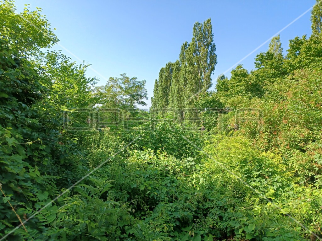Image 6138658 - 2