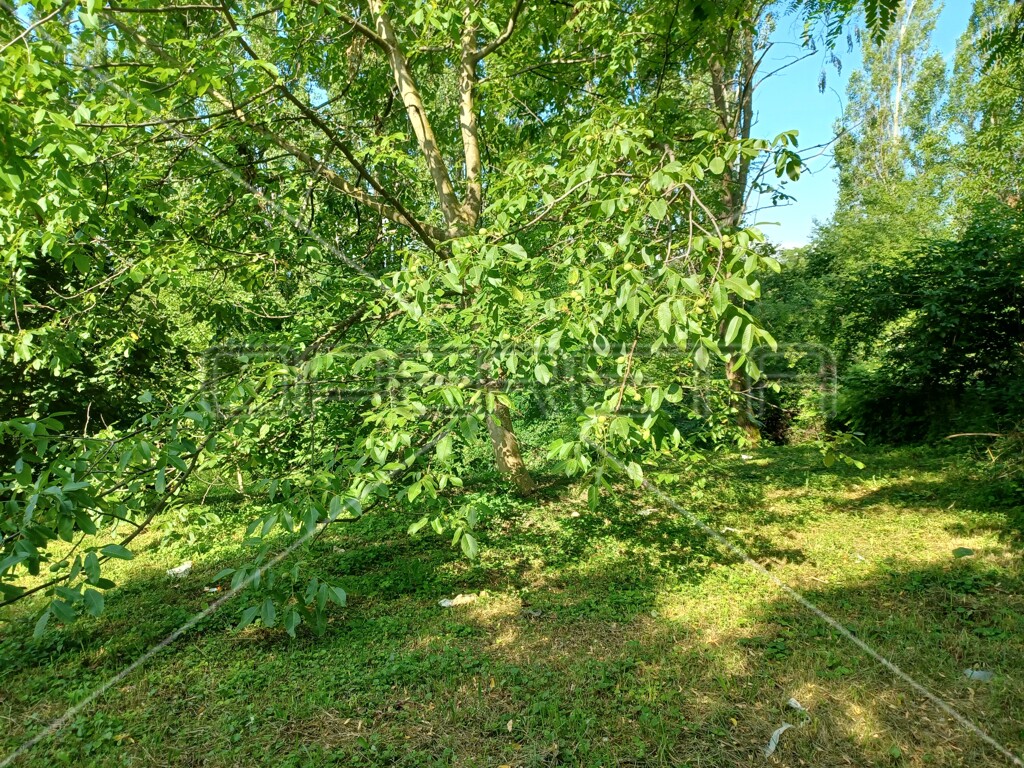 Image 6138658 - 8