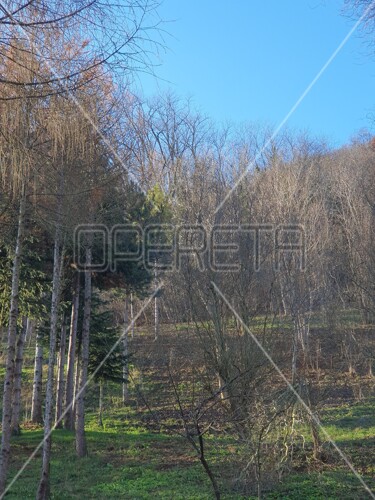 Ulica Dubravica, Gornji Stenjevec, 2.549,00 m2, 80.000,00 EUR