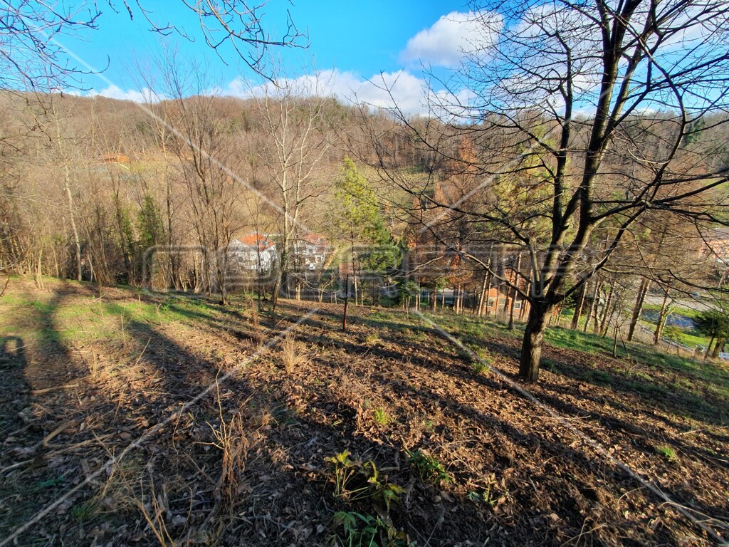 Image 6138665 - 6