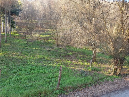 Ulica Dubravica, Gornji Stenjevec, 2.549,00 m2, 80.000,00 EUR