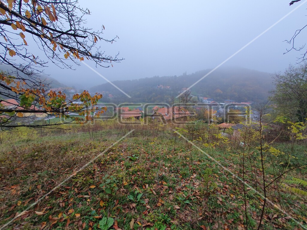 Image 6138666 - 3