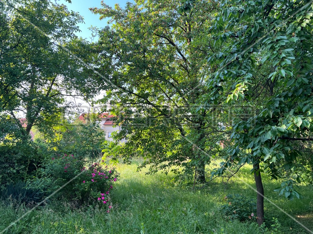 Image 6138667 - 2