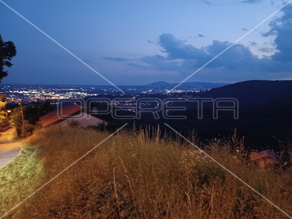 Image 6138669 - 5