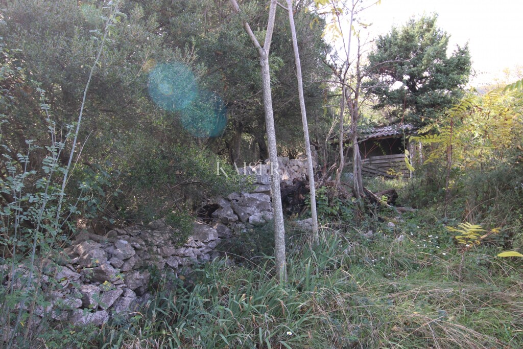 Image 6138777 - 15