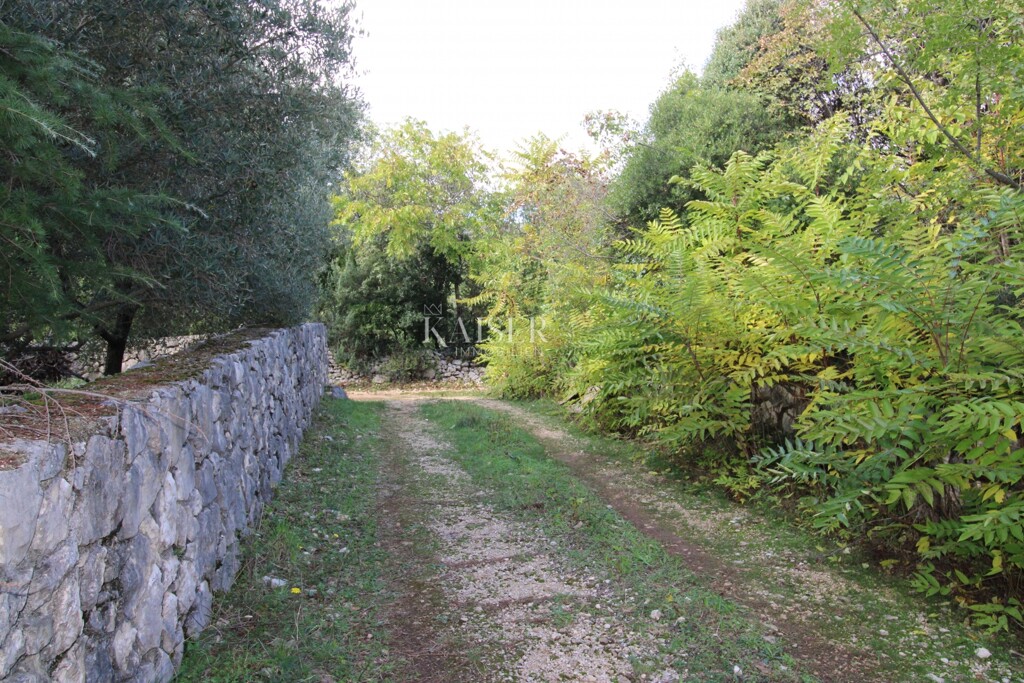 Image 6138777 - 5