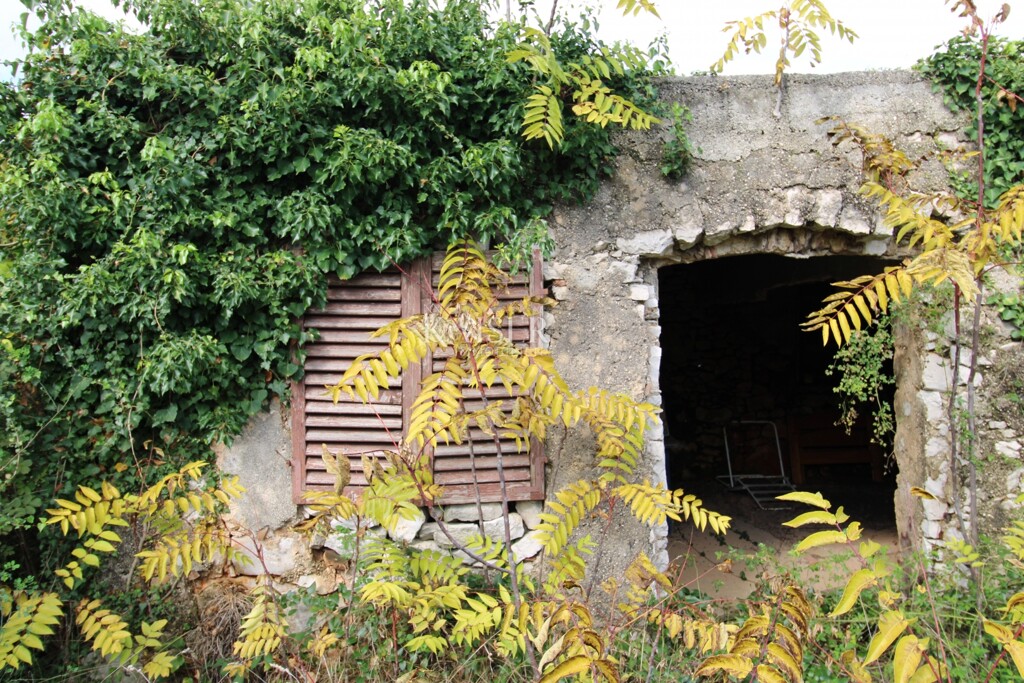 Image 6138777 - 1