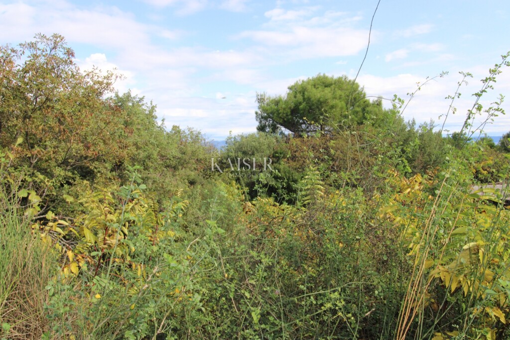 Image 6138777 - 16