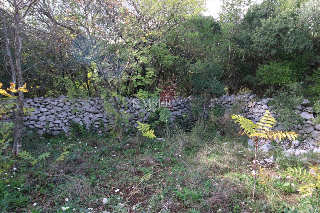 Image 6138777 - 11