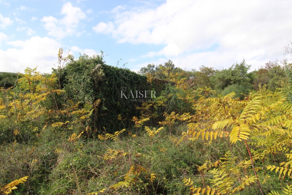 Image 6138777 - 7