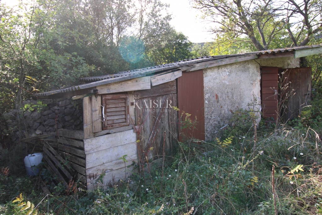 Image 6138777 - 6