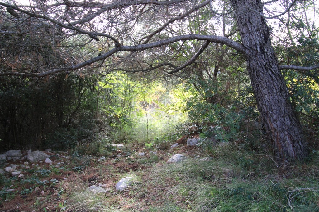 Image 6138777 - 8