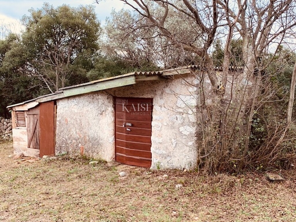 Image 6138777 - 4
