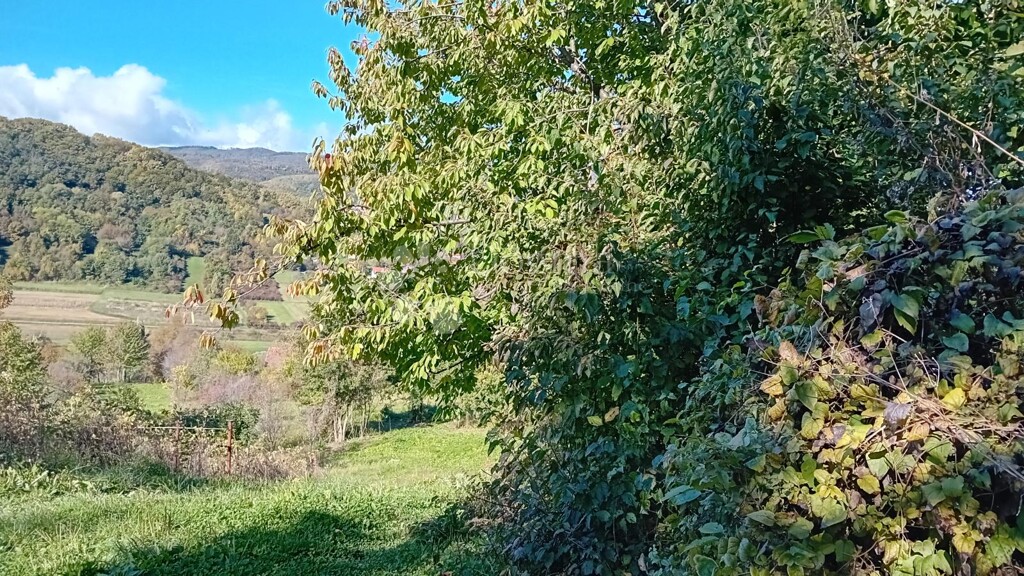Image 6140007 - 1