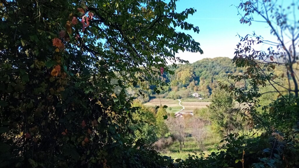 Image 6140007 - 2