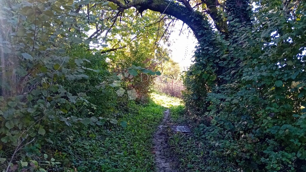 Image 6140007 - 6