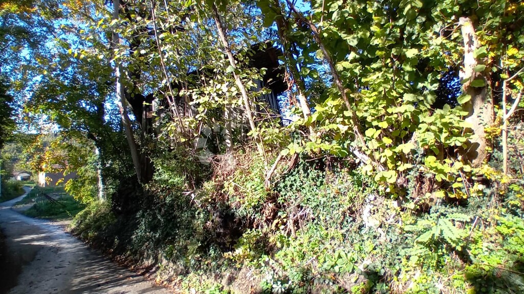 Image 6140007 - 7