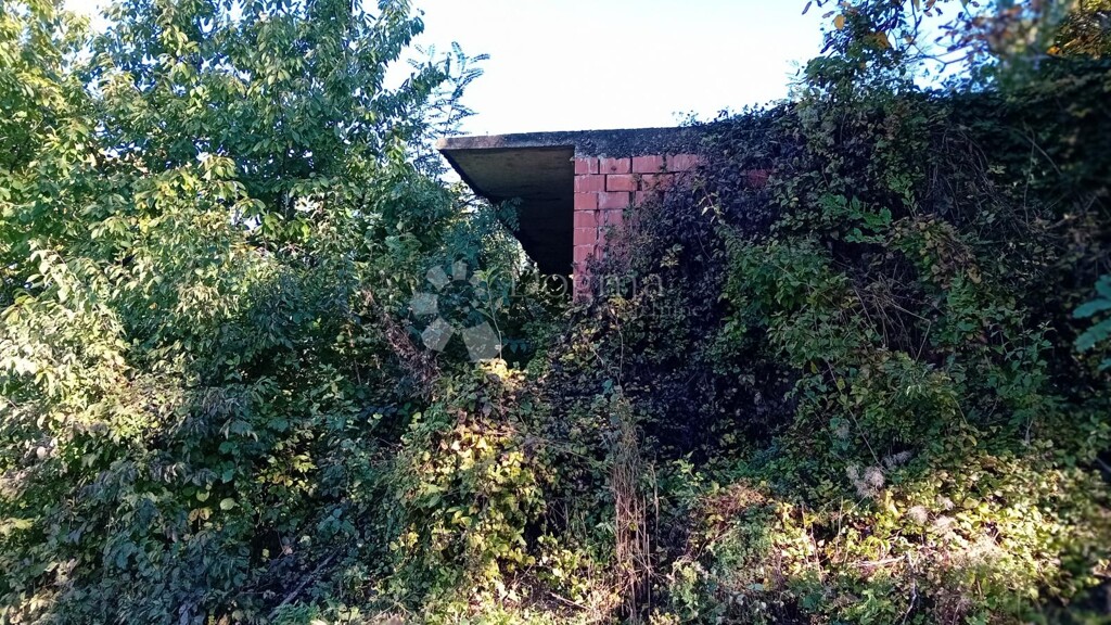 Image 6140007 - 4