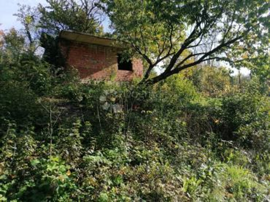 Image 6140007 - 3