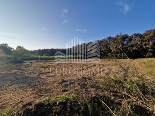 Thumbnail 6140052 - 6