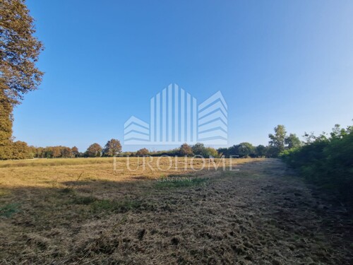Thumbnail 6140052 - 7