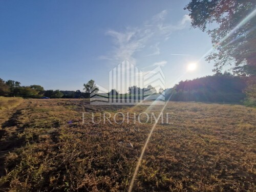 Thumbnail 6140052 - 8