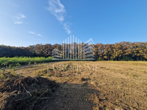 Thumbnail 6140052 - 5