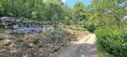 Thumbnail 6140127 - 3