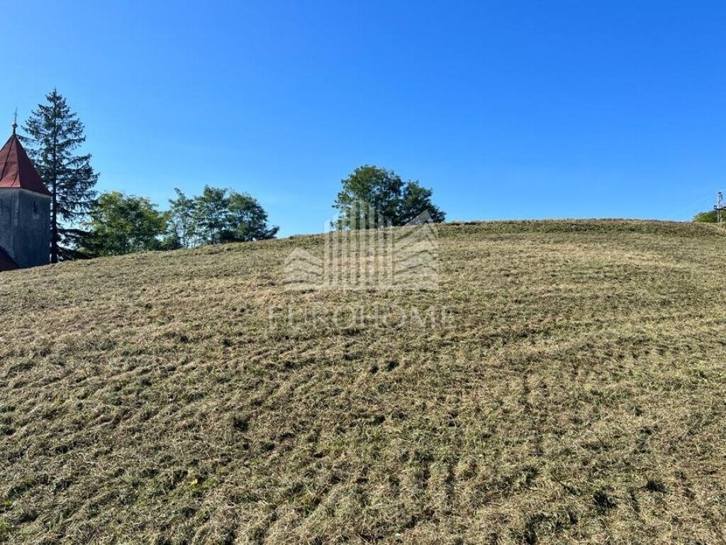 Image 6140771 - 8