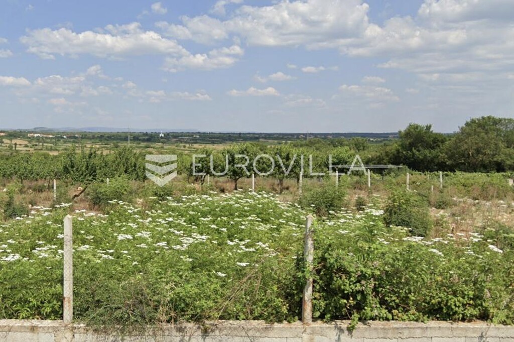 Image 6140809 - 1