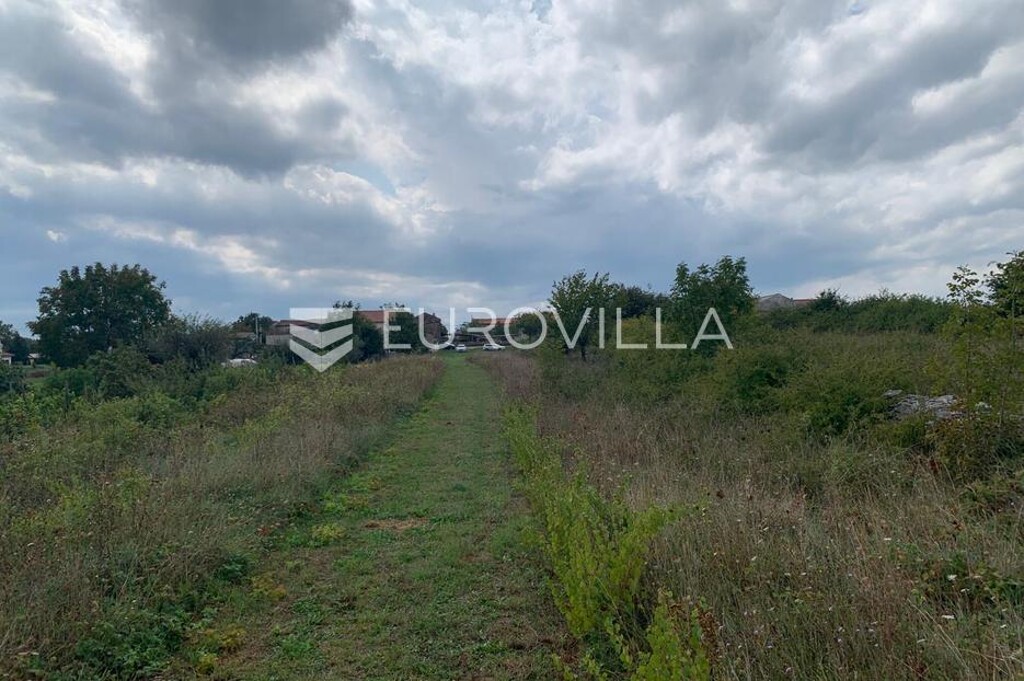 Image 6140816 - 2