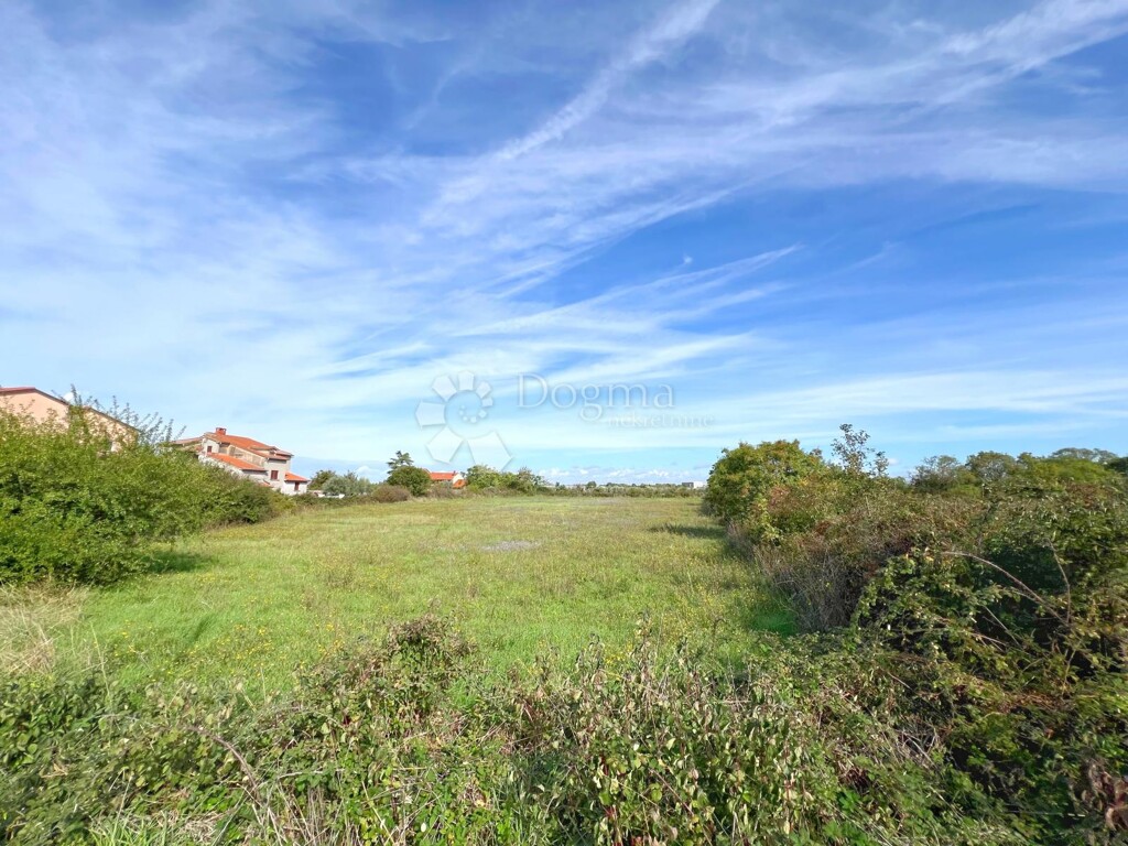 Image 6140875 - 2