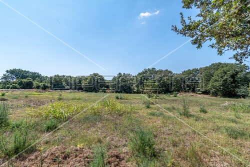 Medulin, veliko građevinsko zemljište 6.699 m2