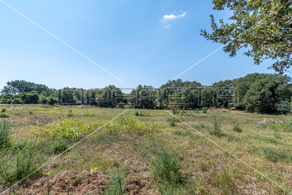 Image 6140933 - 2
