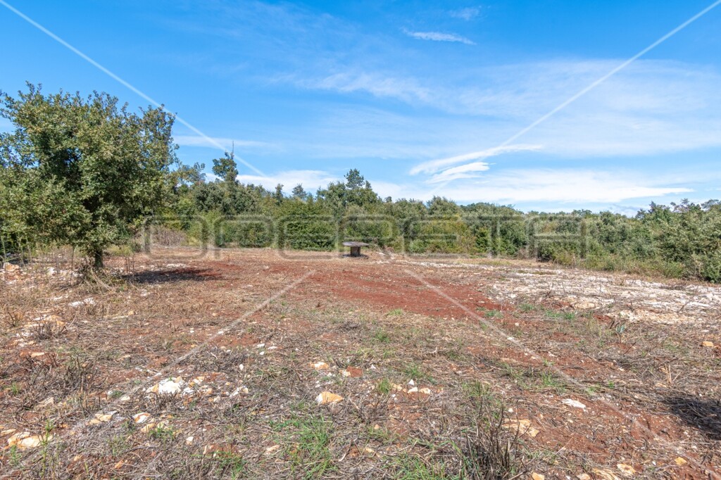 Image 6140937 - 3