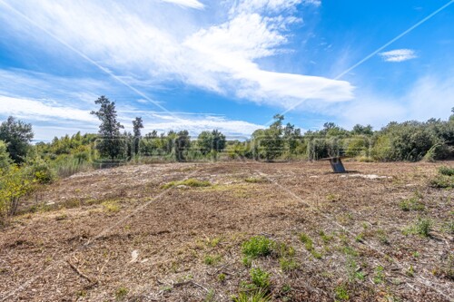 Valtura, poljoprivredno zemljište, 600 m2 pravilnog oblika