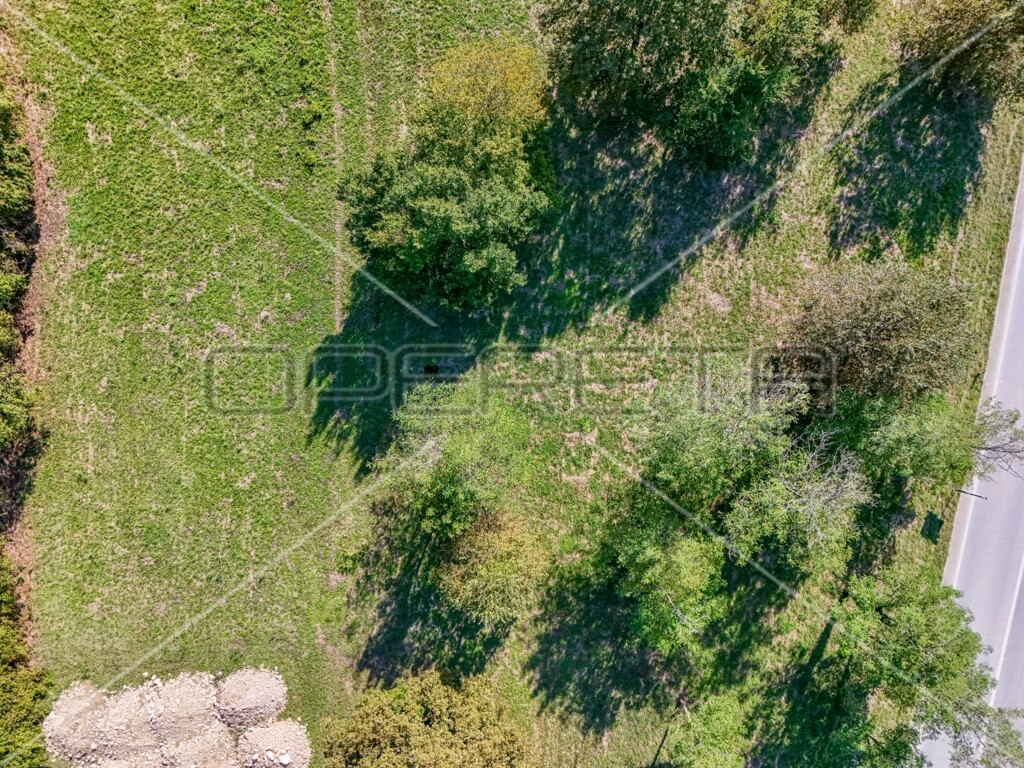 Image 6140938 - 3