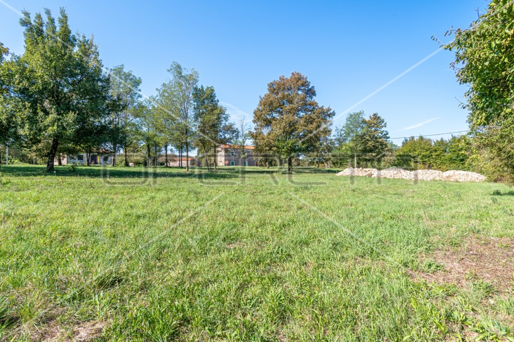 Image 6140938 - 4