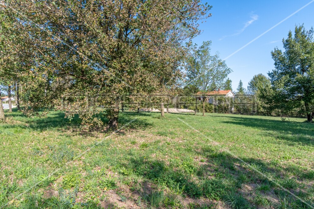 Image 6140938 - 7