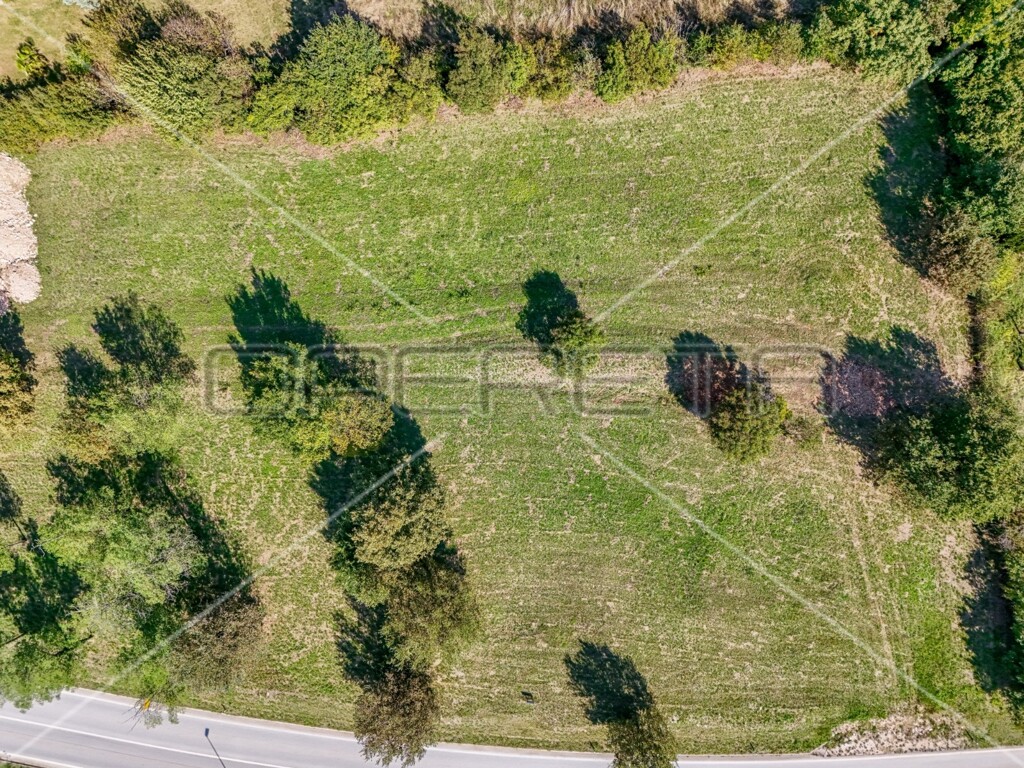 Image 6140939 - 2
