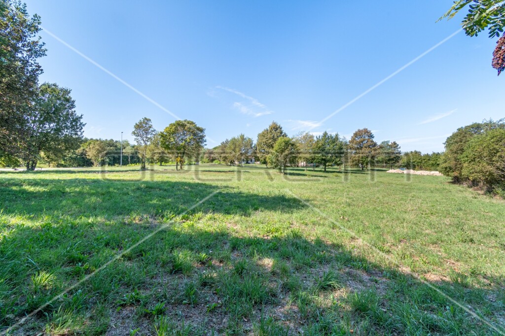 Image 6140939 - 5