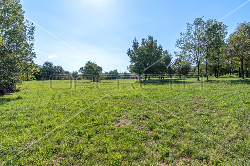 Image 6140939 - 3